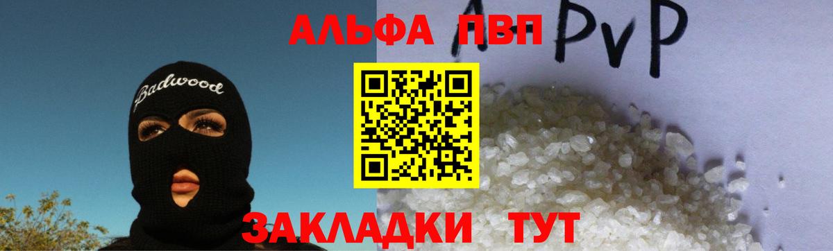 A-PVP СК КРИС Элиста
