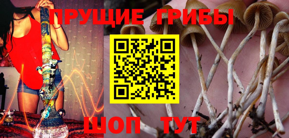 Галлюциногенные грибы ЛСД  Вход с VPN  Элиста 